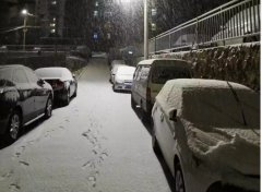 青島！大雪！大愛！