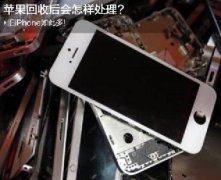 舊iPhone如此多 蘋果回收后會(huì)如何處理